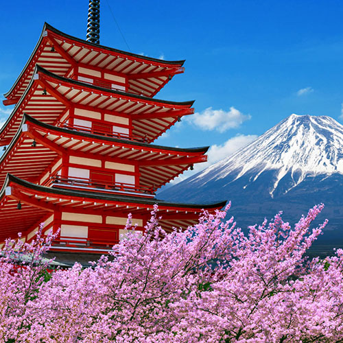 2027 Japan Music Cruise/Tour