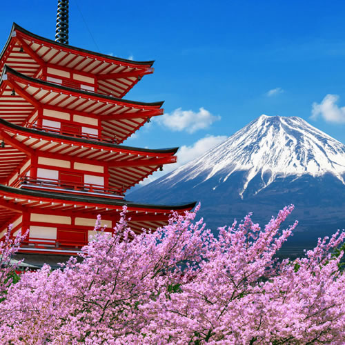 2027 Japan Music Cruise/Tour
