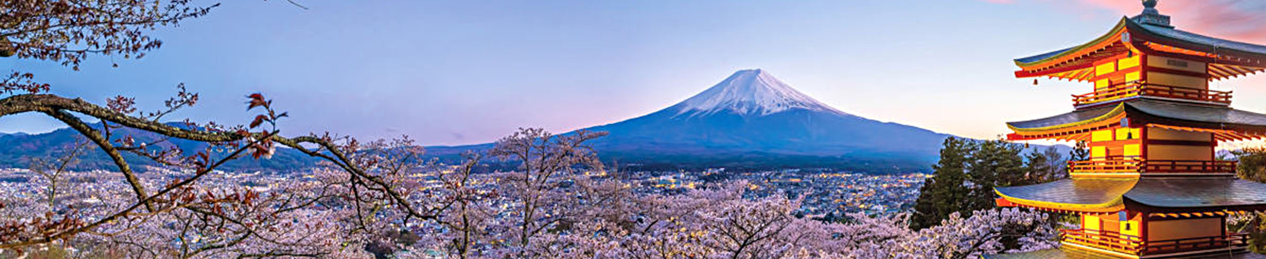 2027 Japan Music Cruise/Tour 2027 Japan Music Cruise/Tour